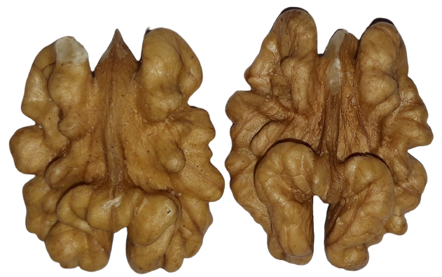 Que veux dire cerneaux de noix extra?